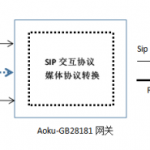 <strong>Aoku-GB28181網(wǎng)關(guān)</strong>